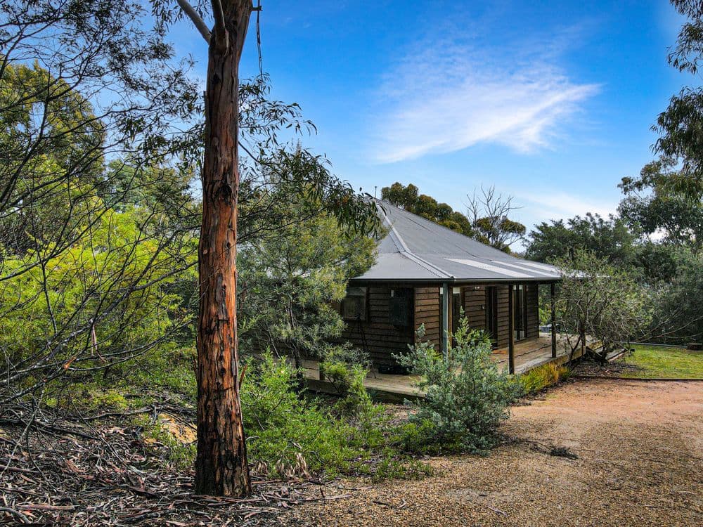 49 Riverview Road, SCAMANDER, TAS 7215, Scamander - Thumbnail 4
