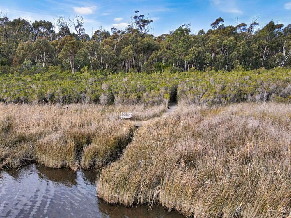 49 Riverview Road, SCAMANDER, TAS 7215, Scamander - Thumbnail 6