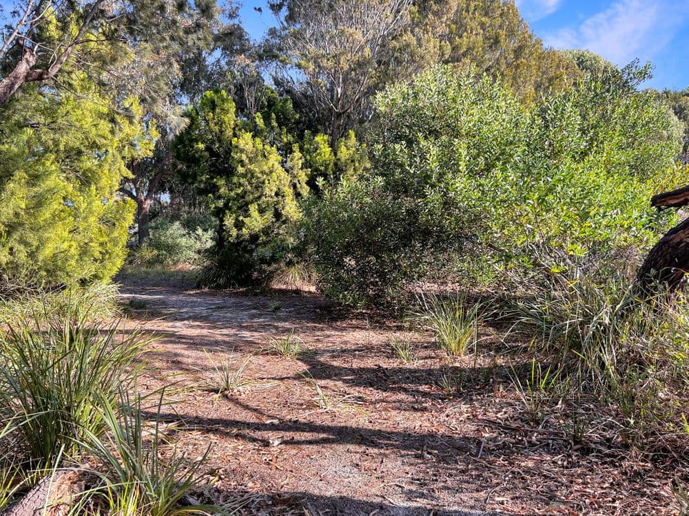 PID 6784440 Kingfisher Drive, SCAMANDER, TAS 7215, Scamander - Thumbnail 2