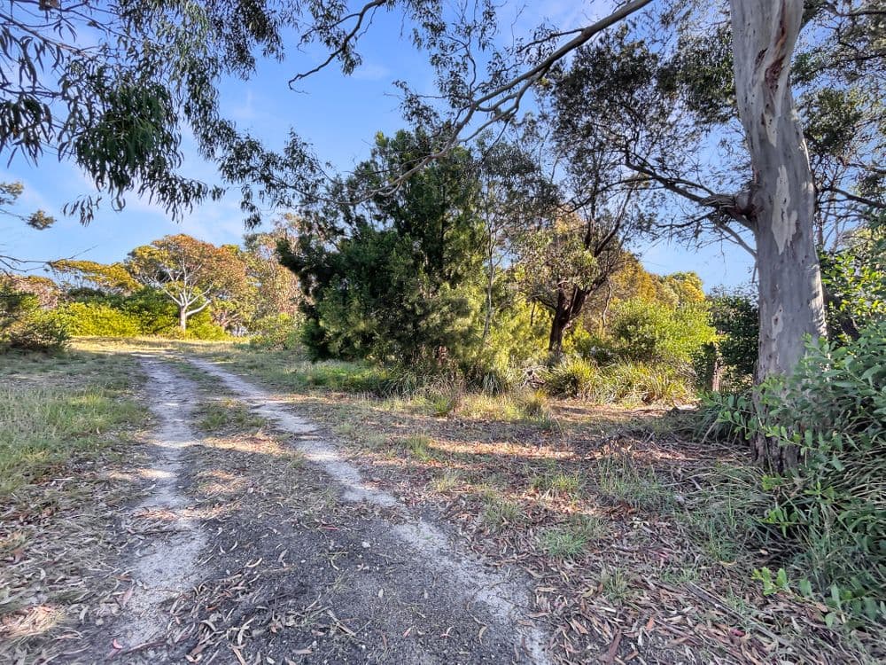 PID 6784440 Kingfisher Drive, SCAMANDER, TAS 7215, Scamander - Thumbnail 3