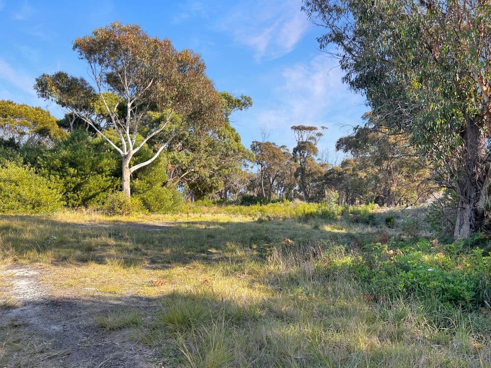 PID 6784440 Kingfisher Drive, SCAMANDER, TAS 7215, Scamander - Thumbnail 5