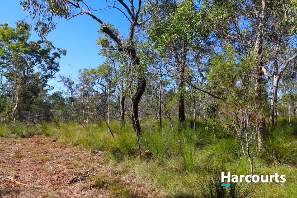 LOT 900 BROADLANDS ROAD, BUXTON, QLD 4660, Buxton - Thumbnail 5