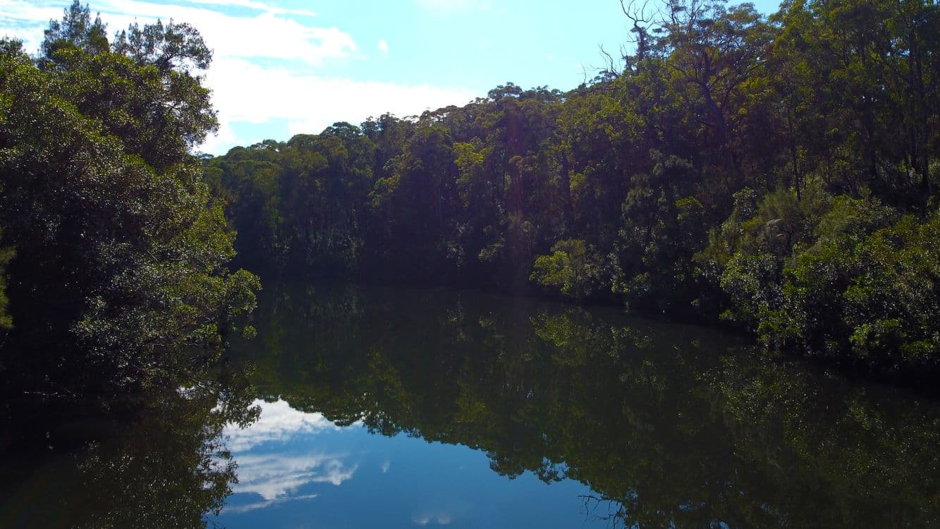 406A Backhouse Road, MOGOOD, NSW 2538, Mogood - Thumbnail 6