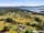 1-23/, Reuben Valley Estate, Julian Street, BEACONSFIELD, TAS 7270, Reuben Valley Estate - Thumbnail 4
