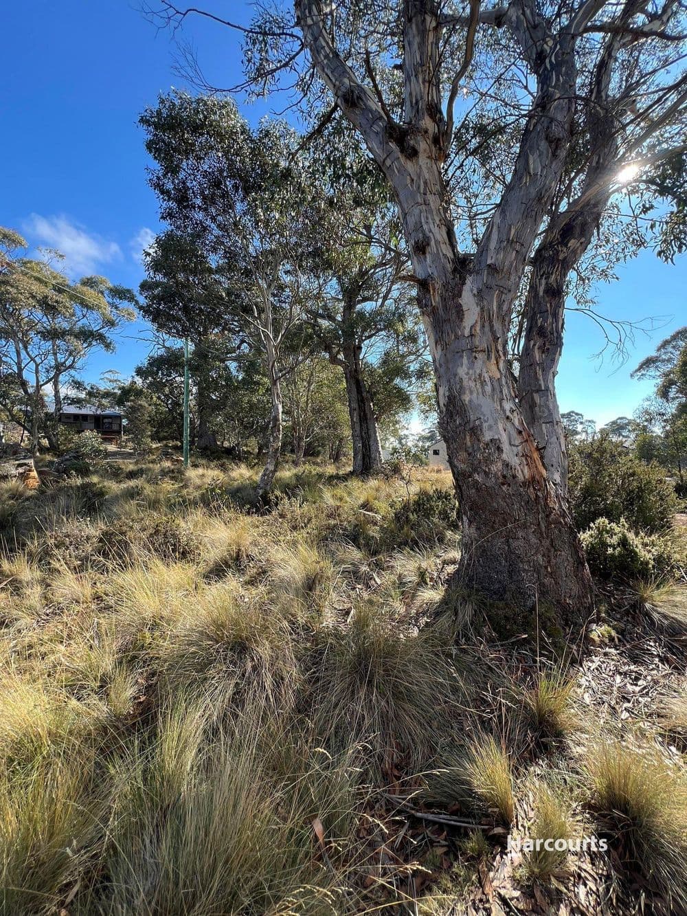 59 Jones Road, MIENA, TAS 7030, Miena - Thumbnail 2