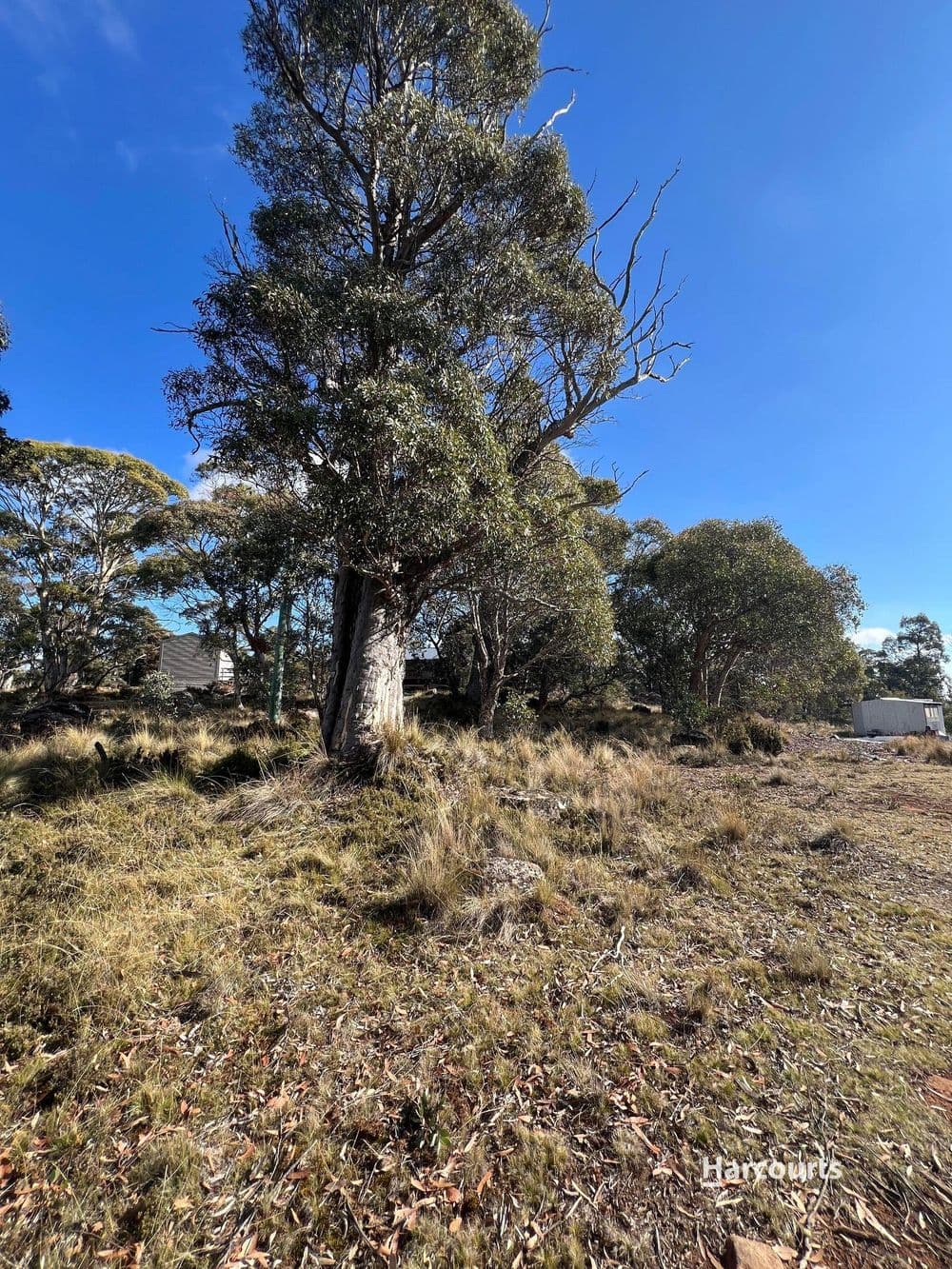 59 Jones Road, MIENA, TAS 7030, Miena - Thumbnail 3