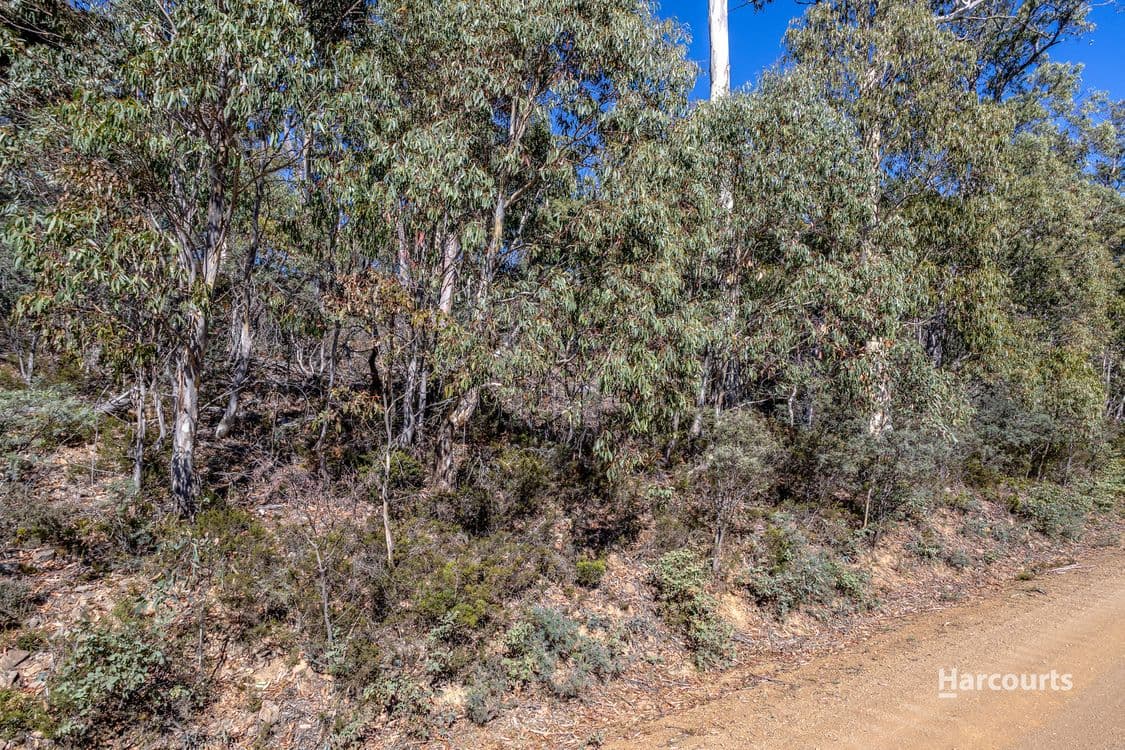25 Wigrams Way, LONDON LAKES, TAS 7140, London Lakes - Thumbnail 7