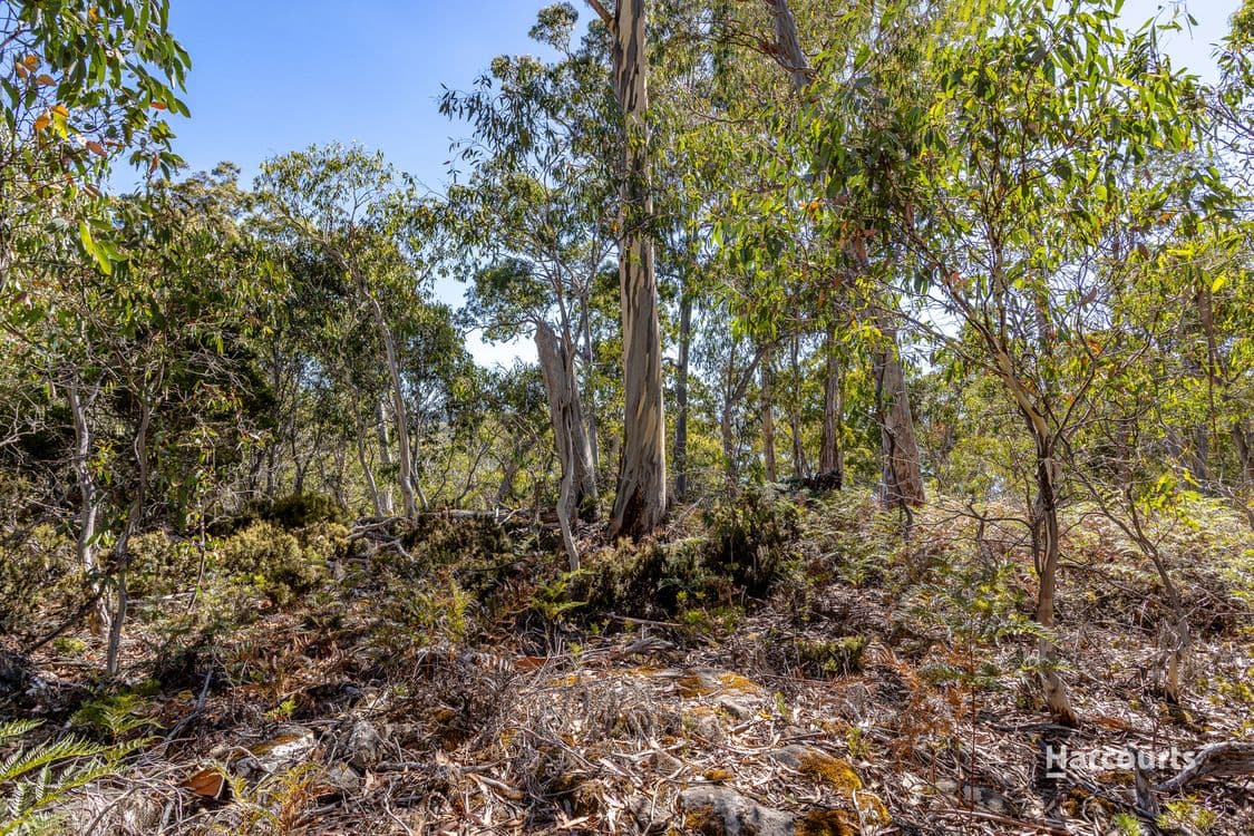 25 Wigrams Way, LONDON LAKES, TAS 7140, London Lakes - Thumbnail 8