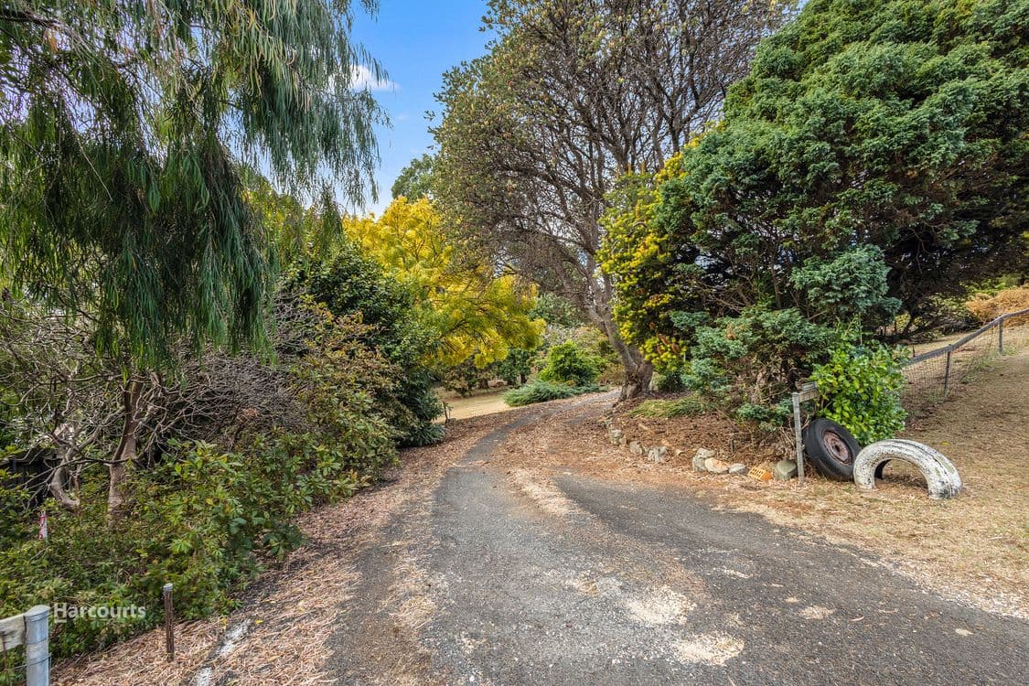 49A & B South Road, PENGUIN, TAS 7316, Penguin - Thumbnail 6