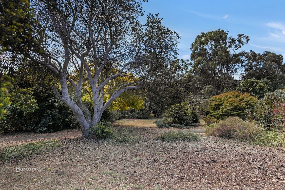 49A & B South Road, PENGUIN, TAS 7316, Penguin - Thumbnail 7