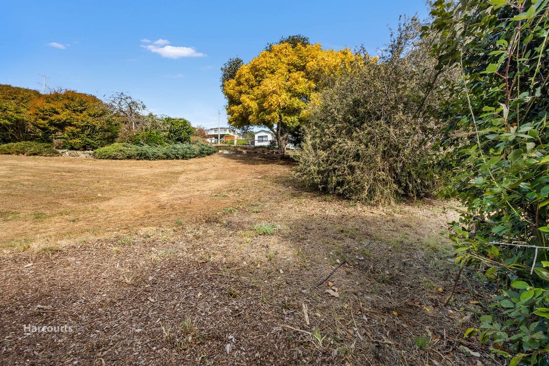 49A & B South Road, PENGUIN, TAS 7316, Penguin - Thumbnail 8