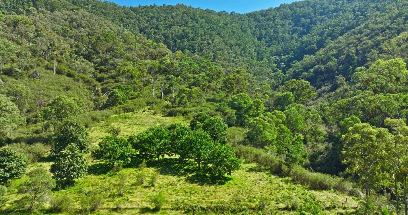 CA 9 Sec 20 Wonnangatta Road, DARGO, VIC 3862, Dargo - Thumbnail 5