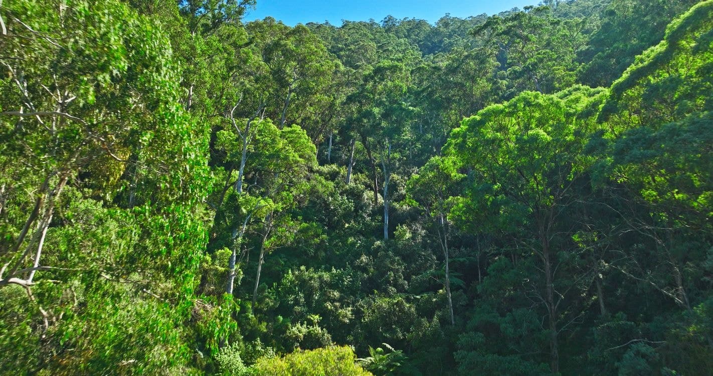 CA 9 Sec 20 Wonnangatta Road, DARGO, VIC 3862, Dargo - Thumbnail 6