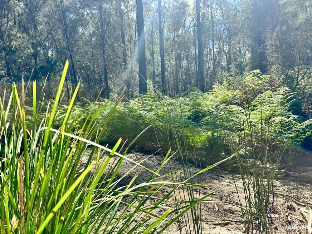 311 Medeas Cove Road, ST HELENS, TAS 7216, St Helens - Thumbnail 2