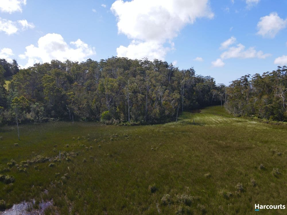 311 Medeas Cove Road, ST HELENS, TAS 7216, St Helens - Thumbnail 3
