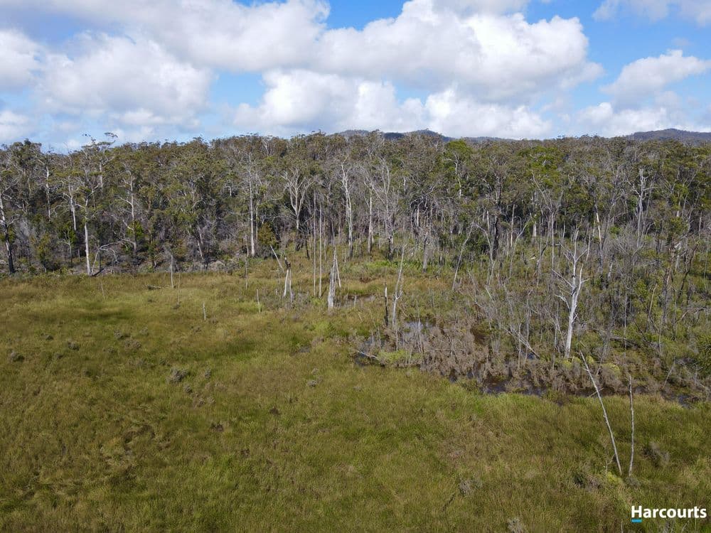 311 Medeas Cove Road, ST HELENS, TAS 7216, St Helens - Thumbnail 4