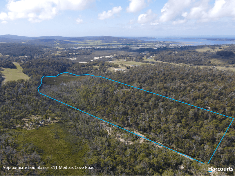 311 Medeas Cove Road, ST HELENS, TAS 7216, St Helens - Thumbnail 5