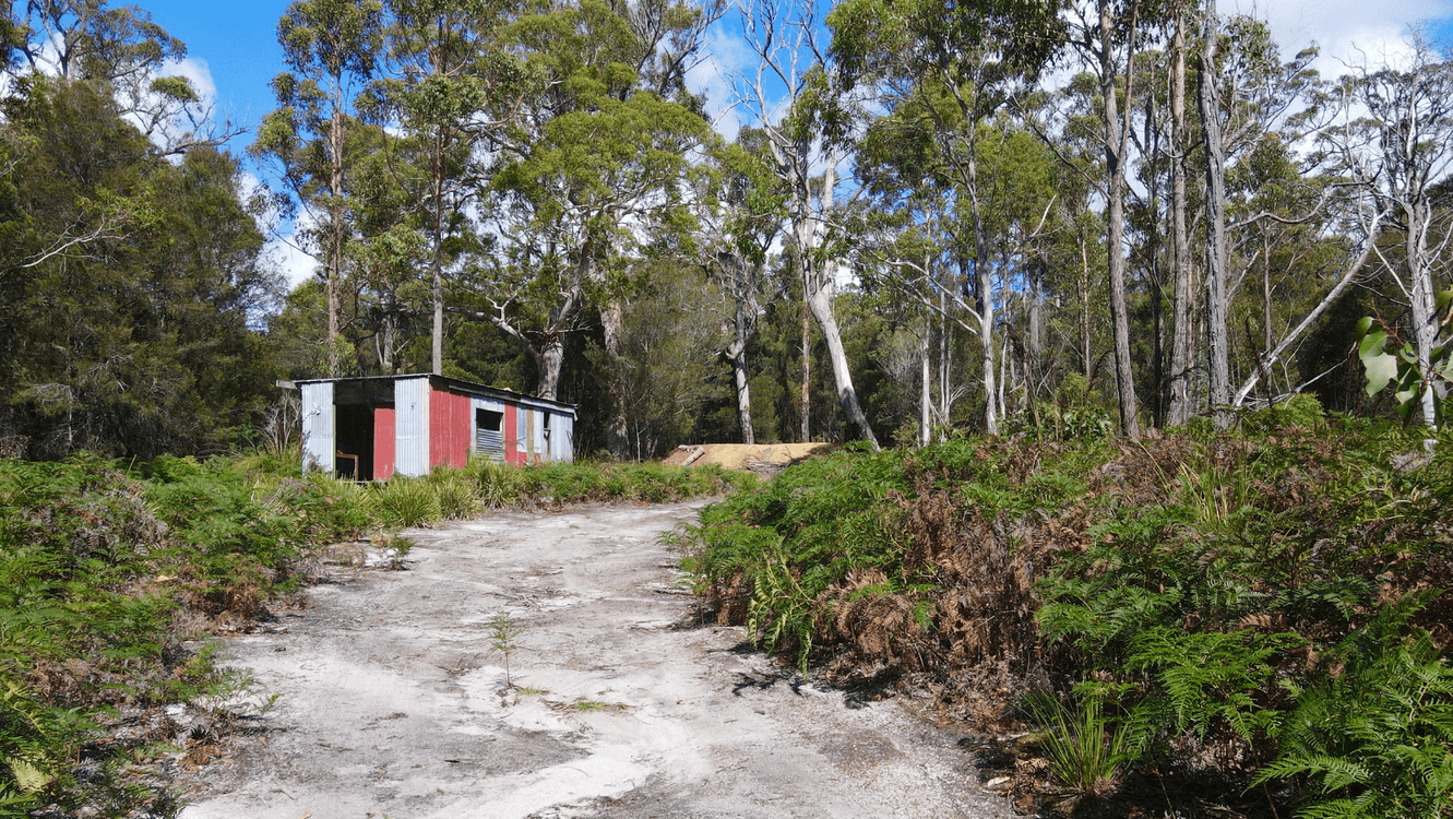 311 Medeas Cove Road, ST HELENS, TAS 7216, St Helens - Thumbnail 7