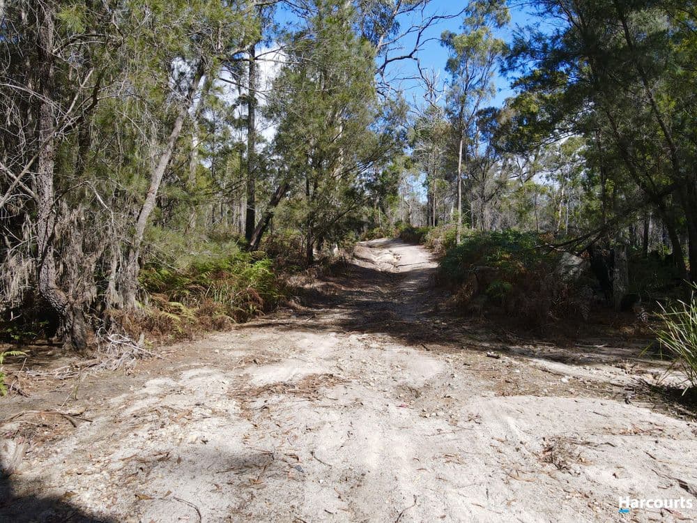 311 Medeas Cove Road, ST HELENS, TAS 7216, St Helens - Thumbnail 8