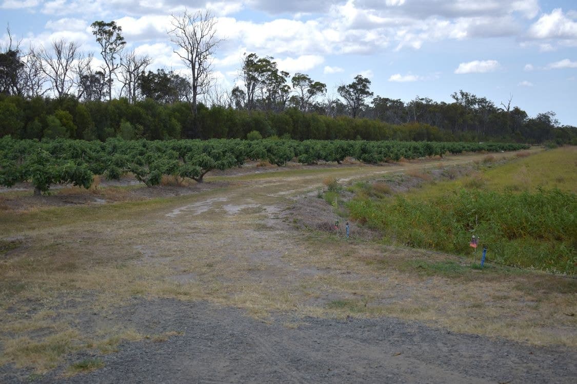 135 Newlands Road, NORTH GREGORY, QLD 4660, North Gregory - Thumbnail 4