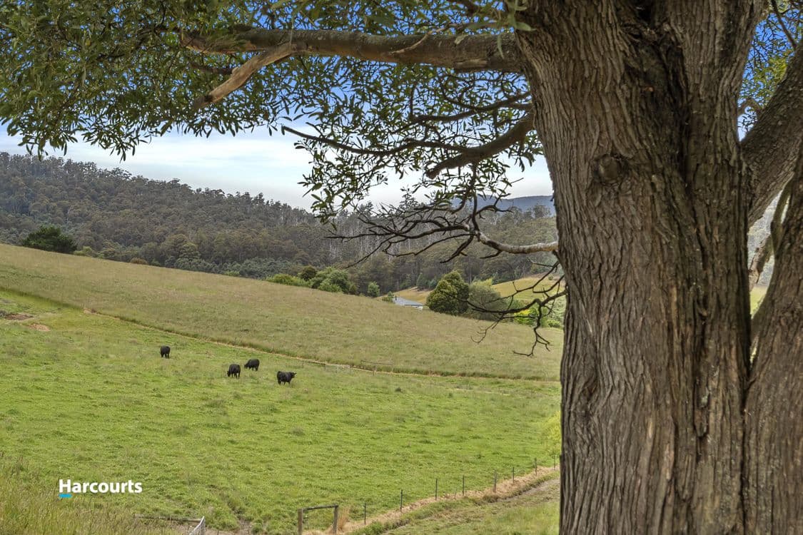 40 Connors Road, CYGNET, TAS 7112, Cygnet - Thumbnail 8