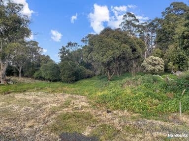 29 John Street, CORNWALL, TAS 7215, Cornwall - Image 1