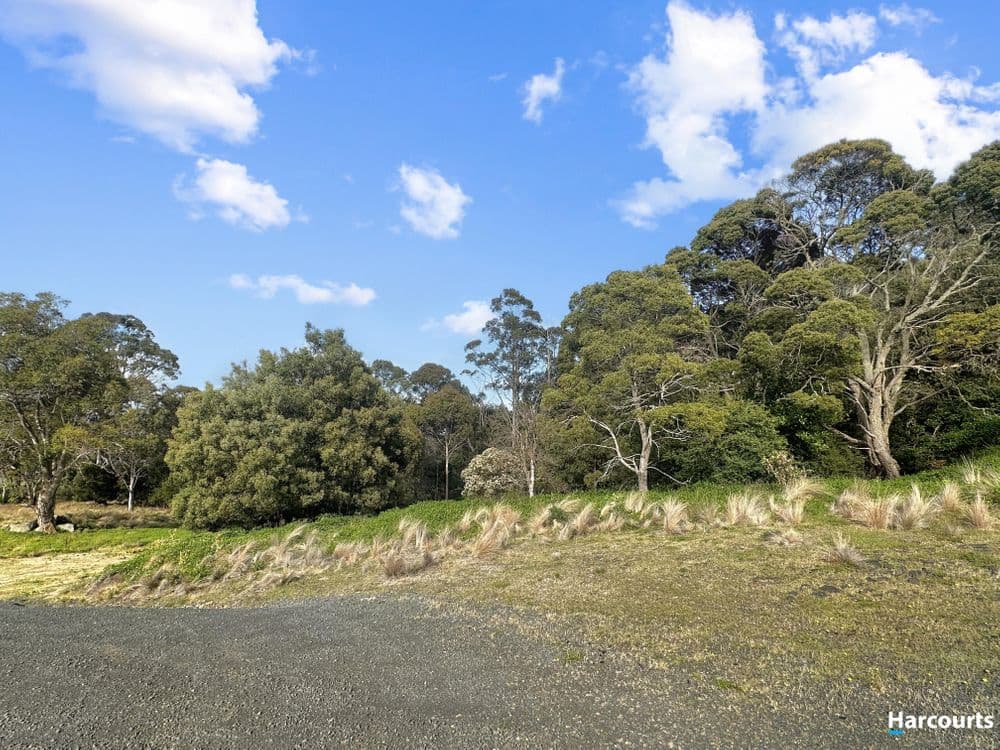 29 John Street, CORNWALL, TAS 7215, Cornwall - Thumbnail 5