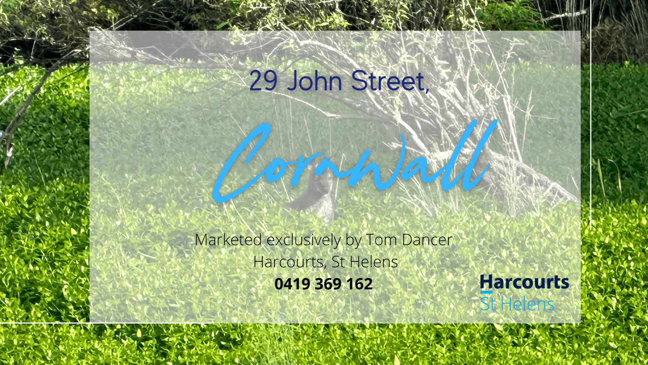 29 John Street, CORNWALL, TAS 7215, Cornwall - Thumbnail 8