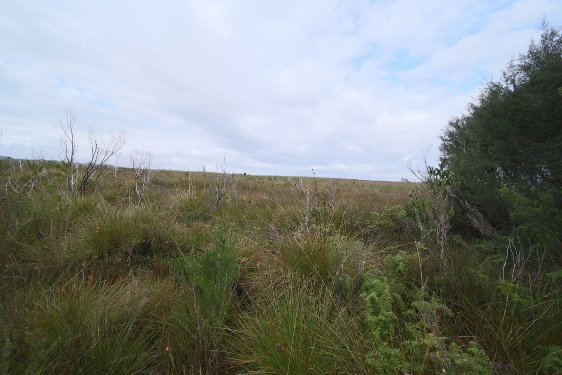 21-22 Hamilton Street, STRAHAN, TAS 7468, Strahan - Thumbnail 4