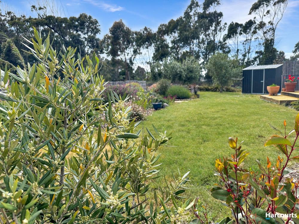 25 Reedy Road, BEAUMARIS, TAS 7215, Beaumaris - Thumbnail 7