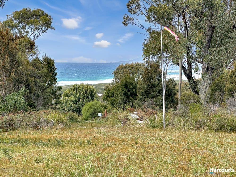25 Reedy Road, BEAUMARIS, TAS 7215, Beaumaris - Thumbnail 8
