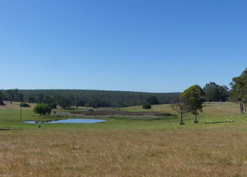 2441 Muir Highway (Perup), MANJIMUP, WA 6258, Manjimup - Thumbnail 2