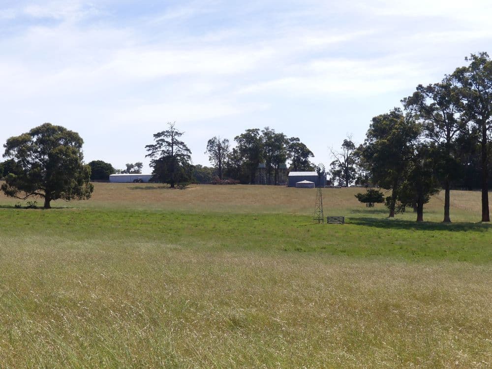 2441 Muir Highway (Perup), MANJIMUP, WA 6258, Manjimup - Thumbnail 6