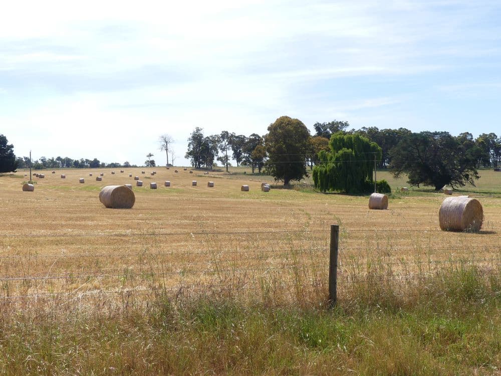 2441 Muir Highway (Perup), MANJIMUP, WA 6258, Manjimup - Thumbnail 8