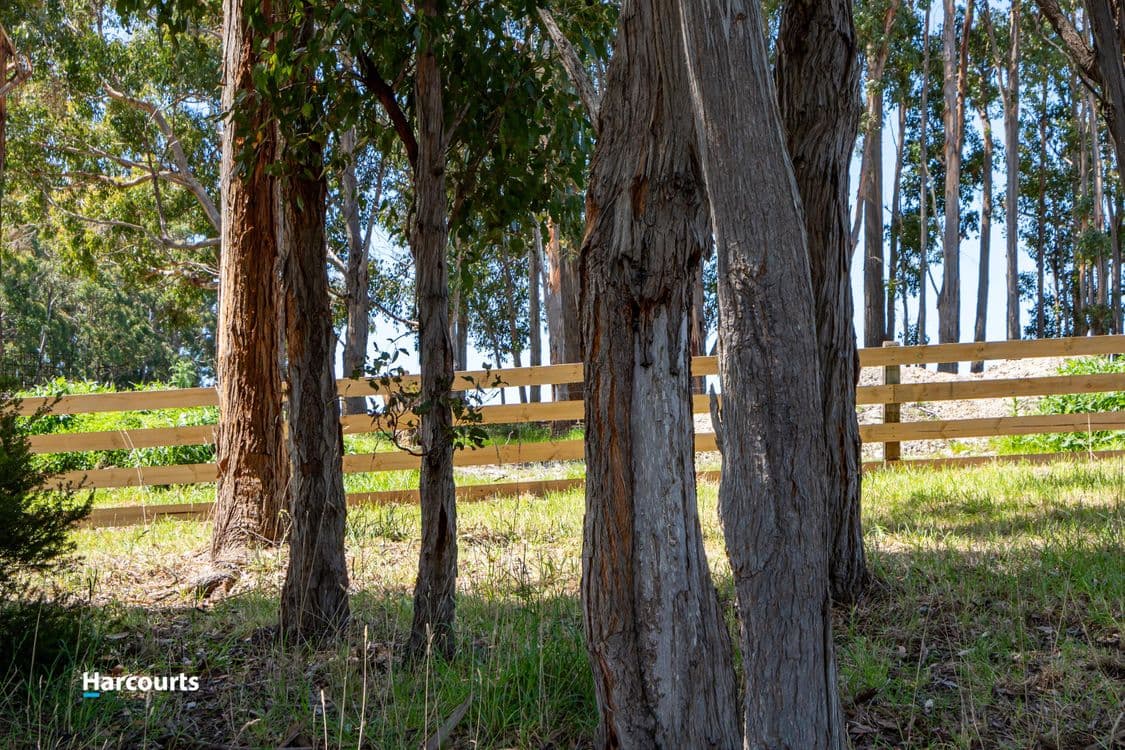 18 Tully Street, SOUTHPORT, TAS 7109, Southport - Thumbnail 7