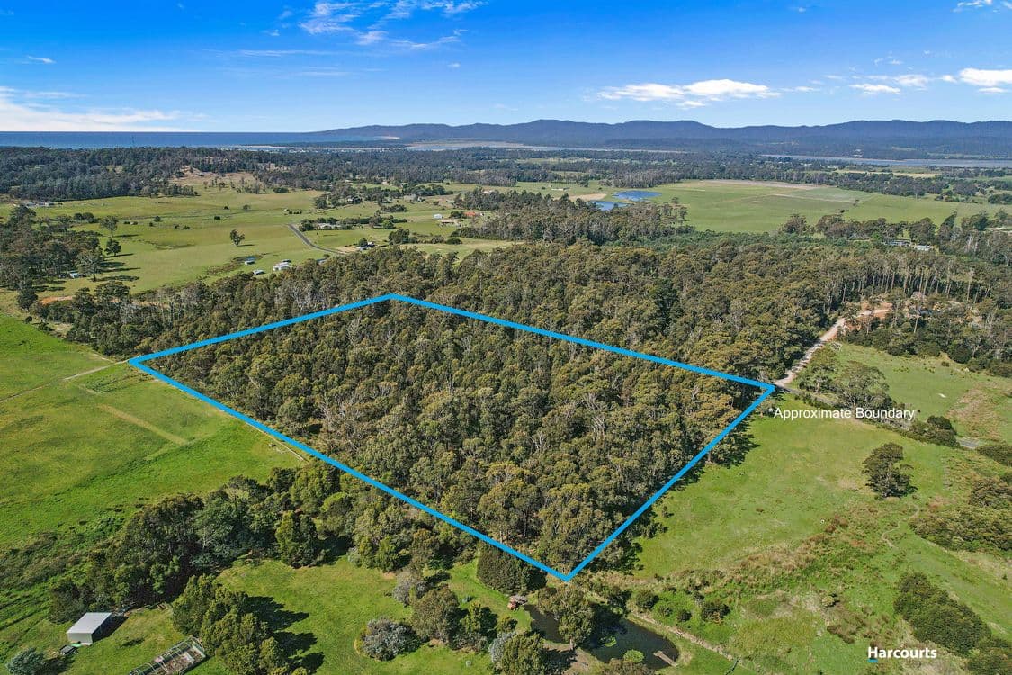 Bakers Lane, NORTHDOWN, TAS 7307, Northdown - Thumbnail 3