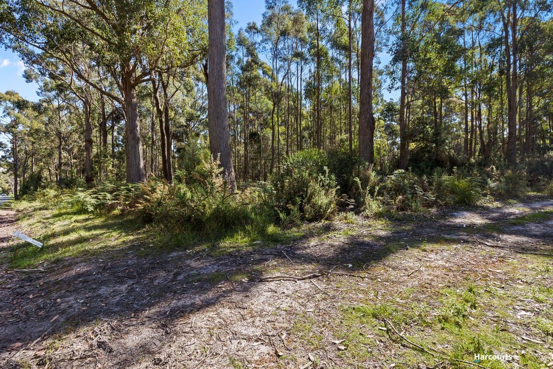 Bakers Lane, NORTHDOWN, TAS 7307, Northdown - Thumbnail 7