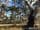 260A Emmersons Road, NORADJUHA, VIC 3409, Noradjuha - Image 1