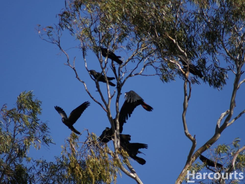 260A Emmersons Road, NORADJUHA, VIC 3409, Noradjuha - Thumbnail 3