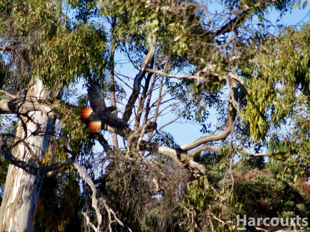 260A Emmersons Road, NORADJUHA, VIC 3409, Noradjuha - Thumbnail 5