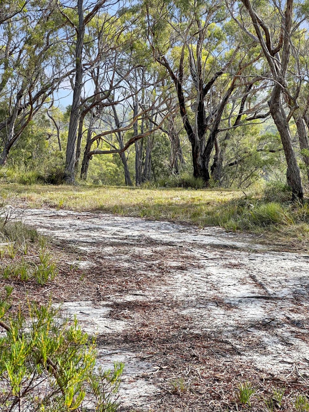24 Jeanneret Crescent, BINALONG BAY, TAS 7216, Binalong Bay - Thumbnail 3