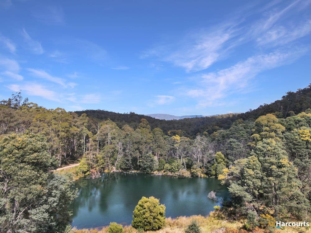 Lot 6/ Richardson Road, ST MARYS, TAS 7215, St Marys - Thumbnail 4