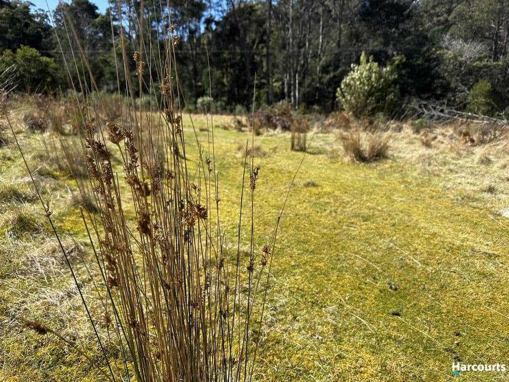 Lot 6/ Richardson Road, ST MARYS, TAS 7215, St Marys - Thumbnail 8
