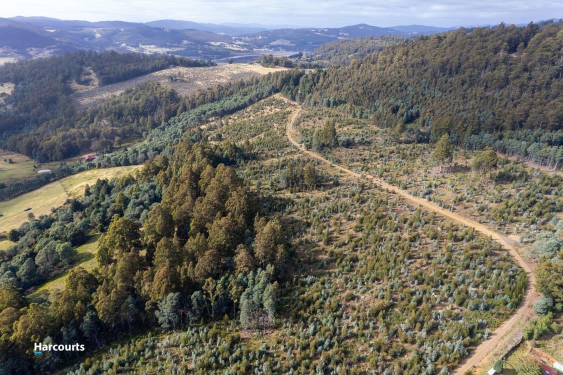 Lot 4 Paddys Lane, FRANKLIN, TAS 7113, Franklin - Thumbnail 5