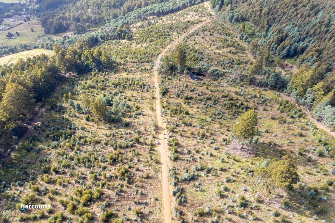Lot 4 Paddys Lane, FRANKLIN, TAS 7113, Franklin - Thumbnail 6