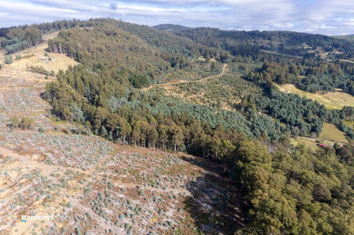 Lot 4 Paddys Lane, FRANKLIN, TAS 7113, Franklin - Thumbnail 8