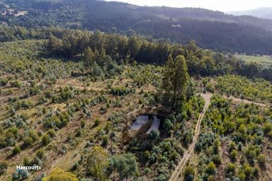 Lot 3 Paddys Lane, FRANKLIN, TAS 7113, Franklin - Image 1