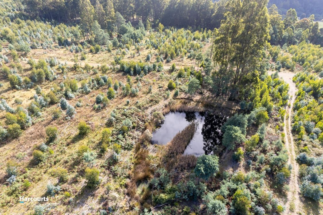 Lot 3 Paddys Lane, FRANKLIN, TAS 7113, Franklin - Thumbnail 2