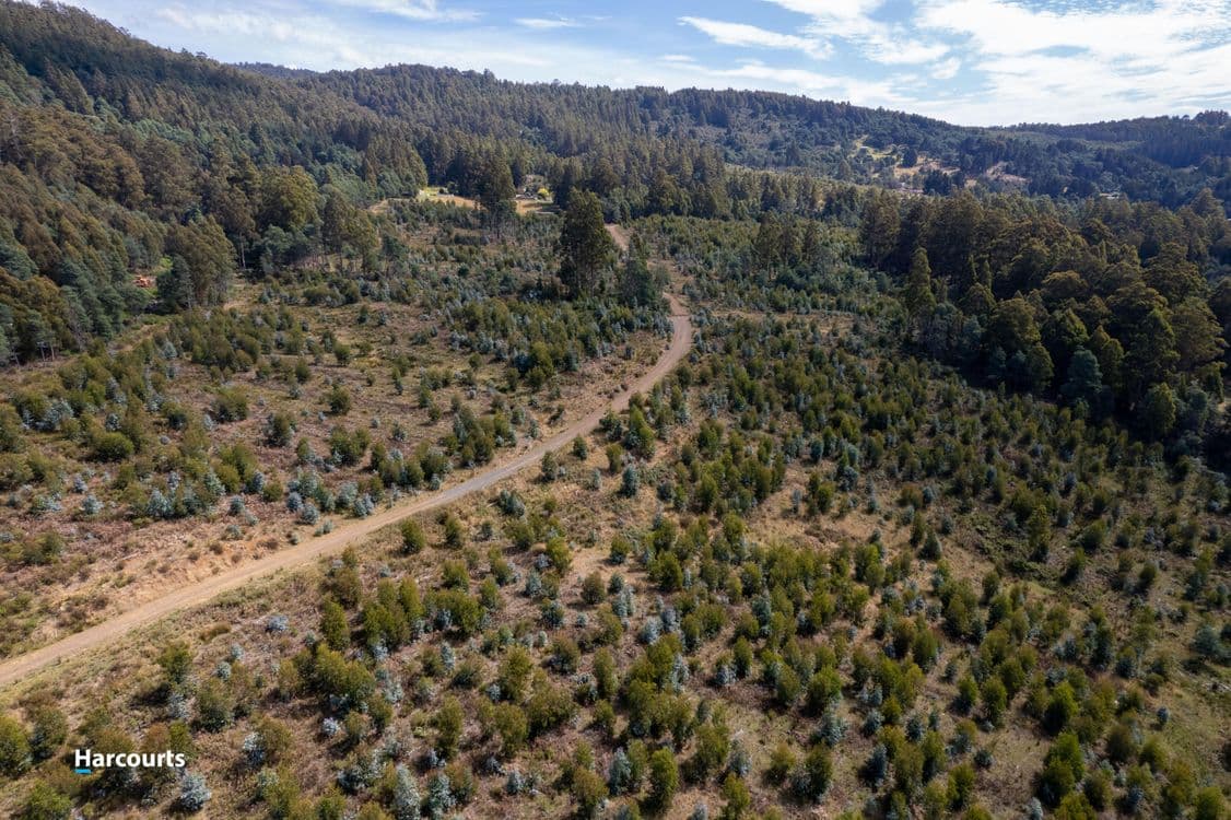 Lot 3 Paddys Lane, FRANKLIN, TAS 7113, Franklin - Thumbnail 3