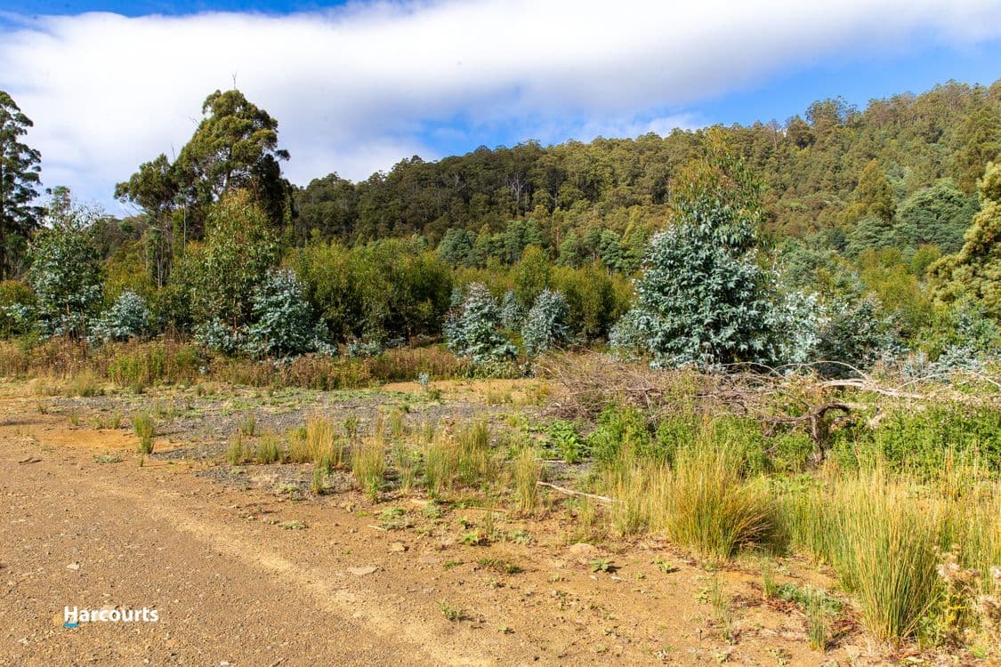 Lot 3 Paddys Lane, FRANKLIN, TAS 7113, Franklin - Thumbnail 4